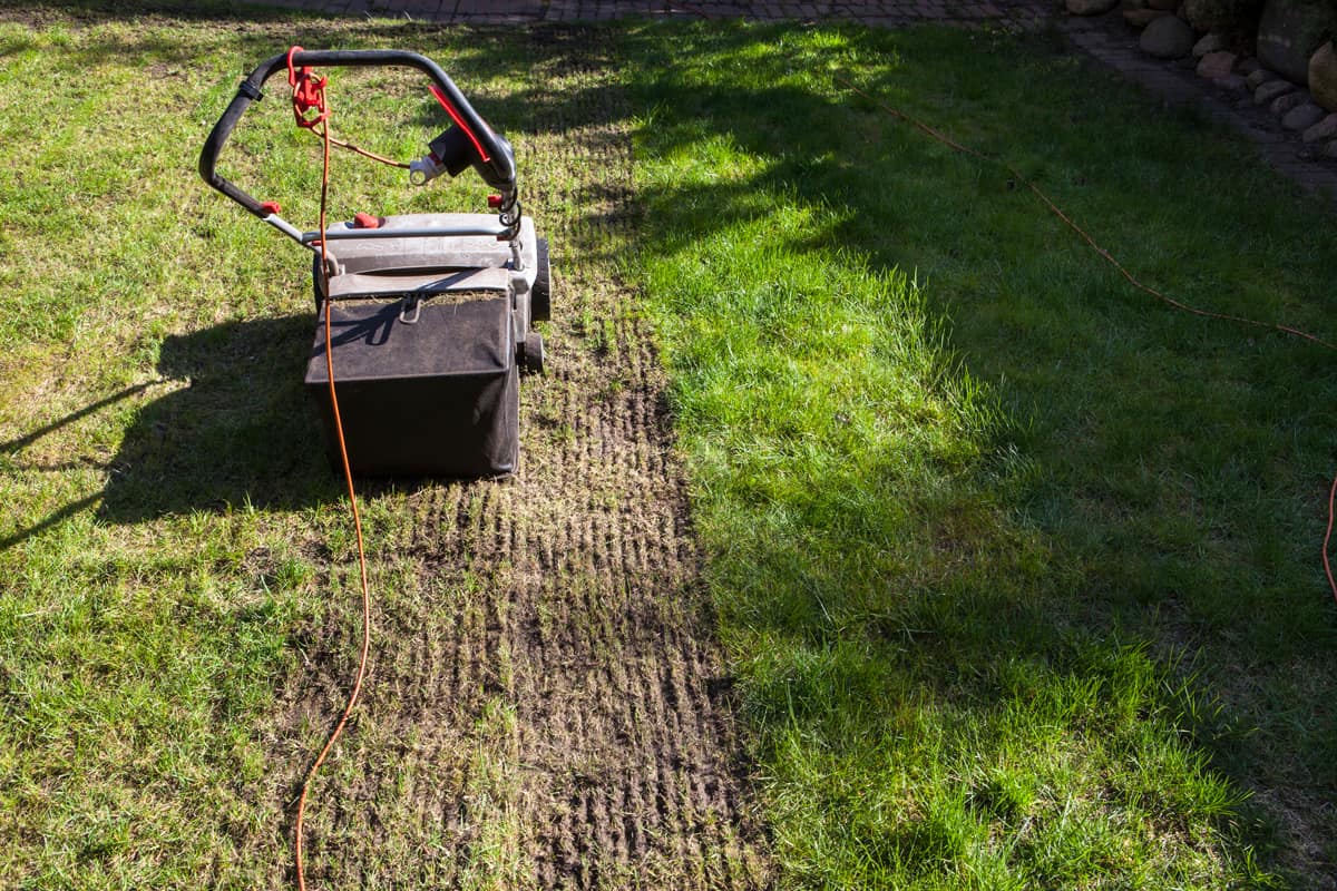 A verticutter for proper lawn fertilization