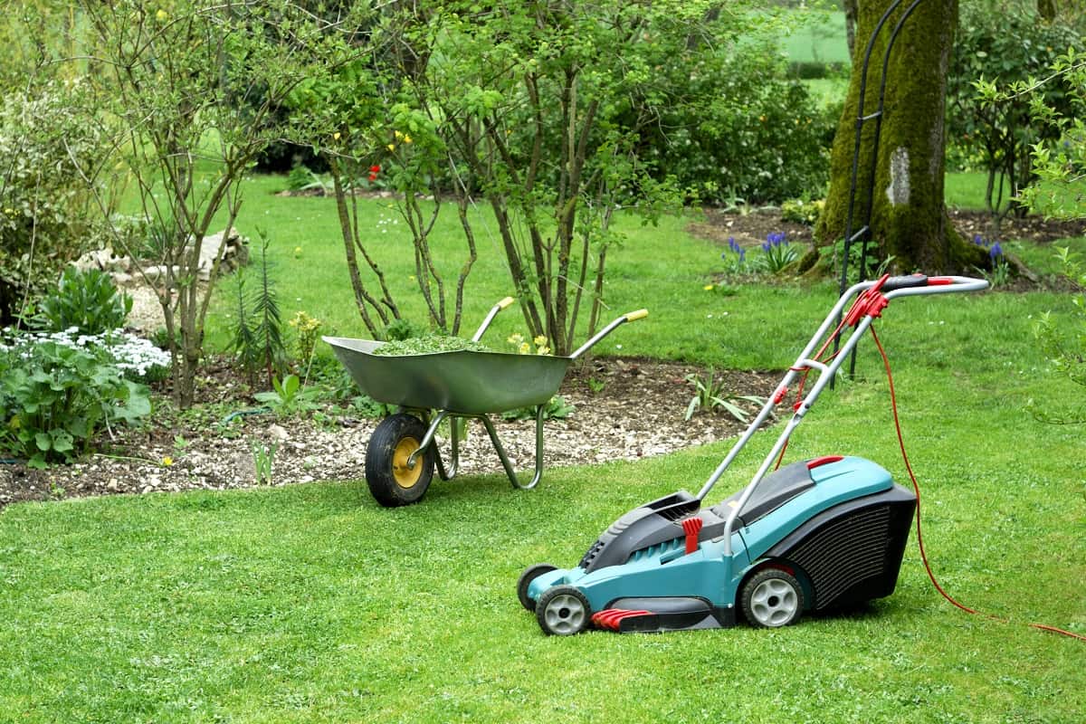An electric lawnmower and a lawnmower in a beautiful garden