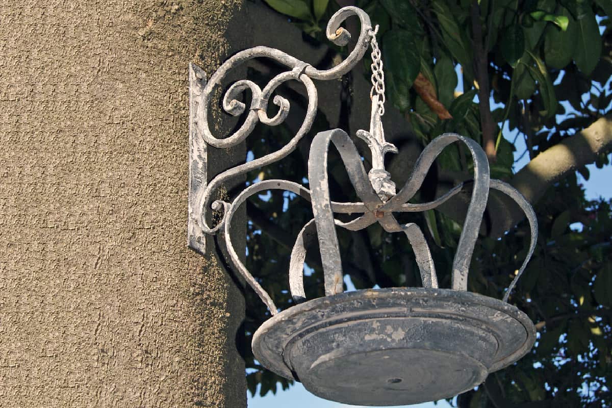An iron birdbath and its hanger are fixed permanently onto a tree