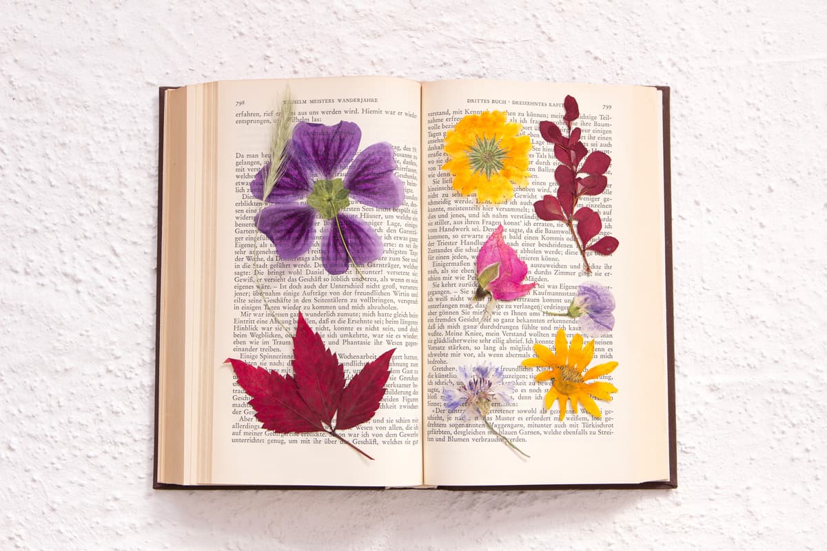Bright colored flowers placed in between books