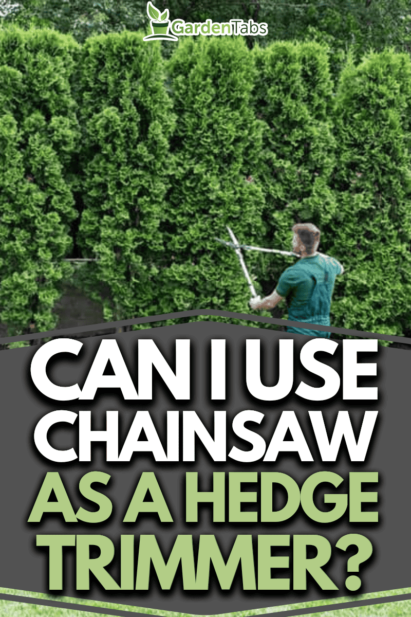 Can I Use A Chainsaw As A Hedge Trimmer?