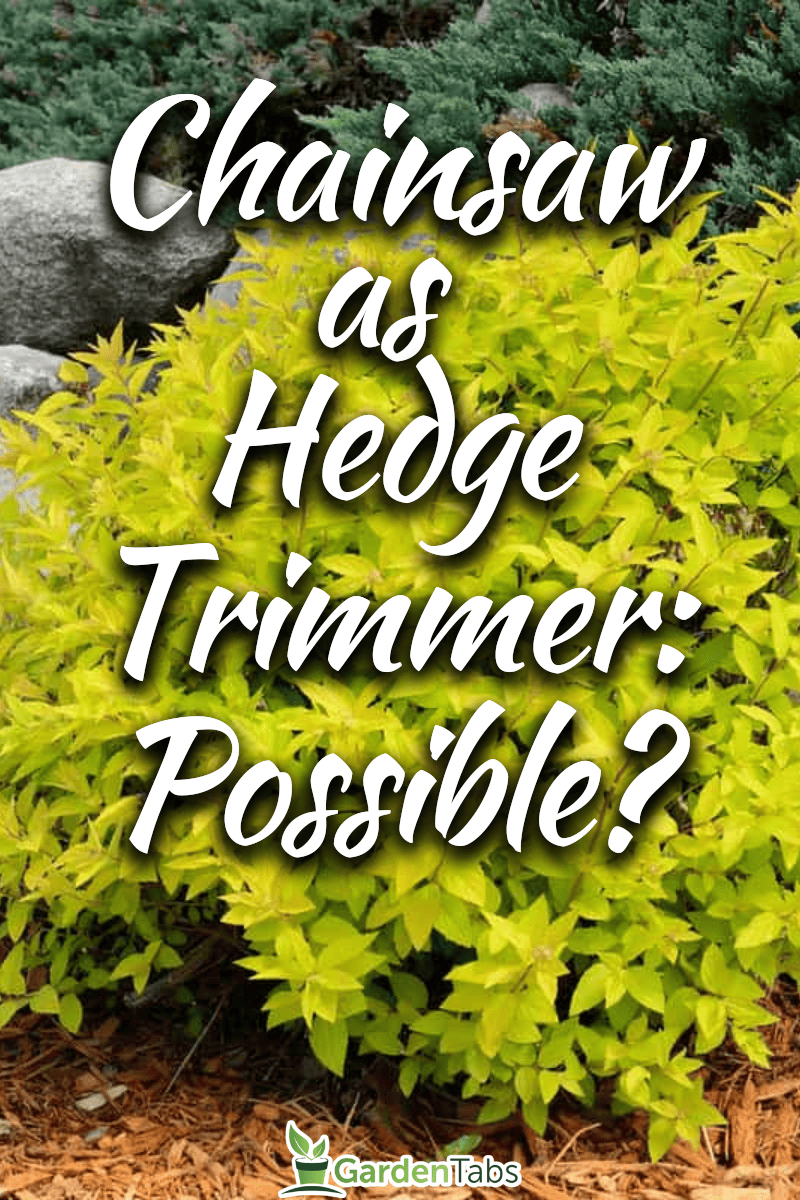 Can I Use A Chainsaw As A Hedge Trimmer?
