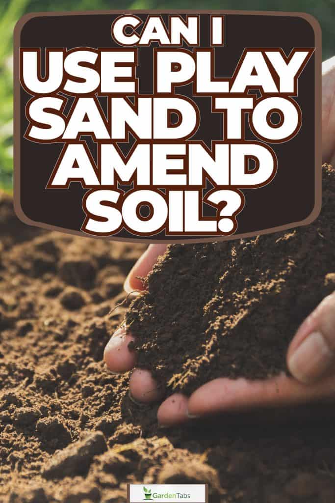 Gardener checking soil, Can I Use Play Sand To Amend Soil?