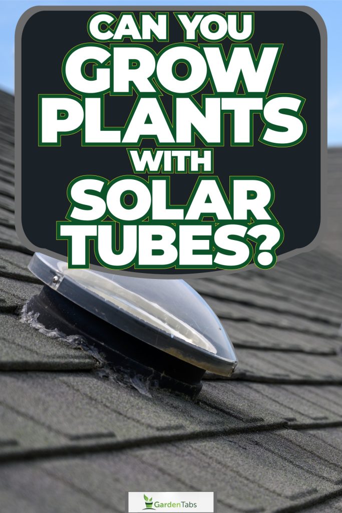 Solar tubes used for natural light of a house, Can You Grow Plants With Solar Tubes?