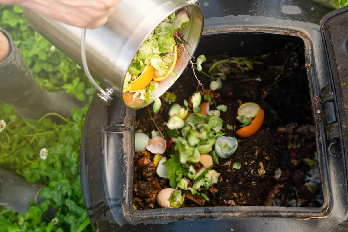 Close Up of Kitchen Counter Compost Bin with Food Scraps