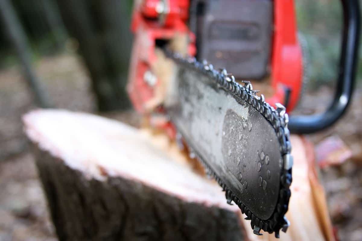 Close up of a chainsaw on a stump