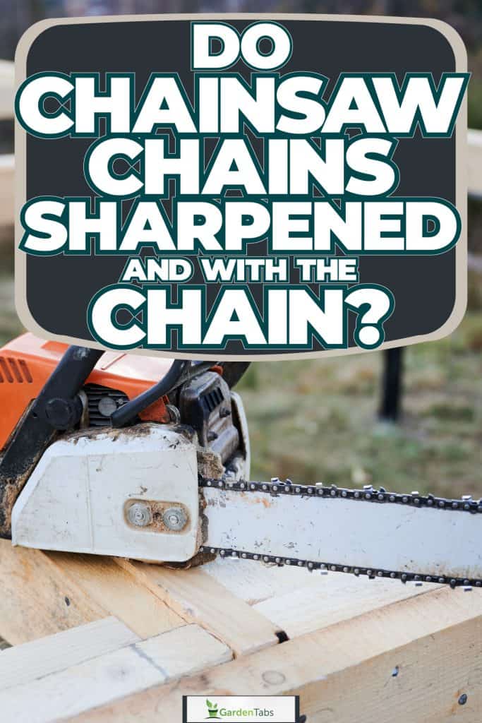 Logger cutting a tree with a chainsaw, Do Chainsaw Chains Come Sharpened And With The Chain?