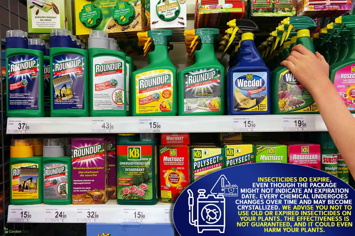 A shelves with a variety of pesticides in a supermarket, Do Insecticides Expire Or Have A Shelf Life?