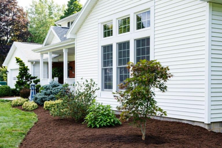 This garden terrace behind a slate rock wall has just been completely weeded and cleaned up with fresh mulch spread evenly on the ground surrounding ornamental bushes and flowers. - Gorilla Hair Mulch: The Ultimate Guide [Inc. Pros, Cons, Applications, &