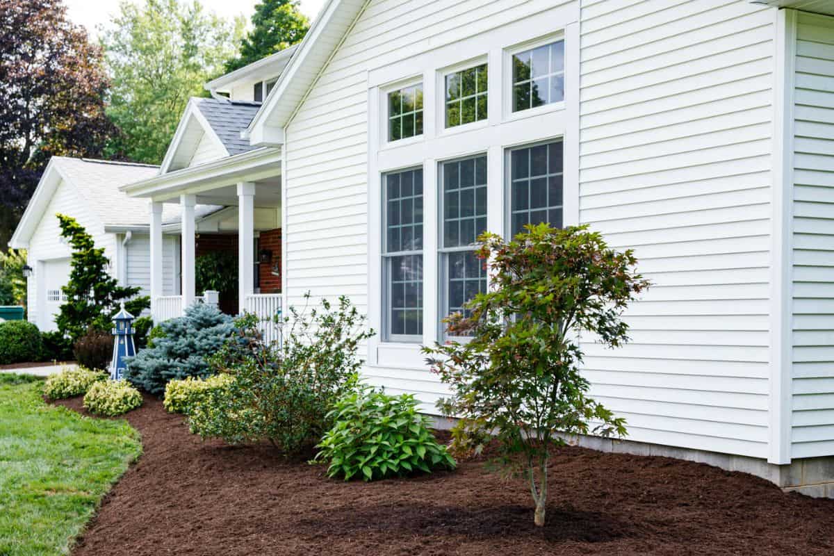 Fresh new landscaping at suburban home near Rochester, New York State. The newly finished front yard garden now features a young Japanese maple tree along with several new bushes and shrubs in a redefined area which has been edged, smoothed and completely mulched.