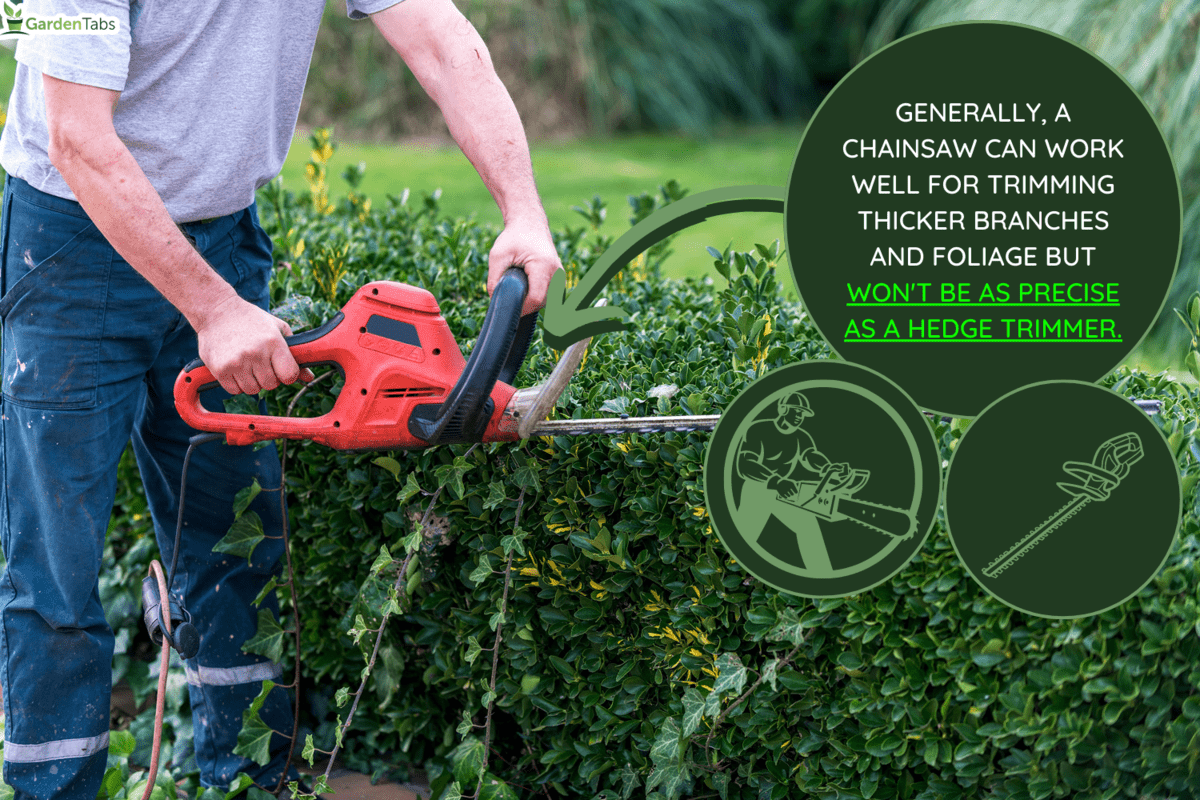 Gardener pruning bushes with chainsaw in garden - Can I Use A Chainsaw As A Hedge Trimmer