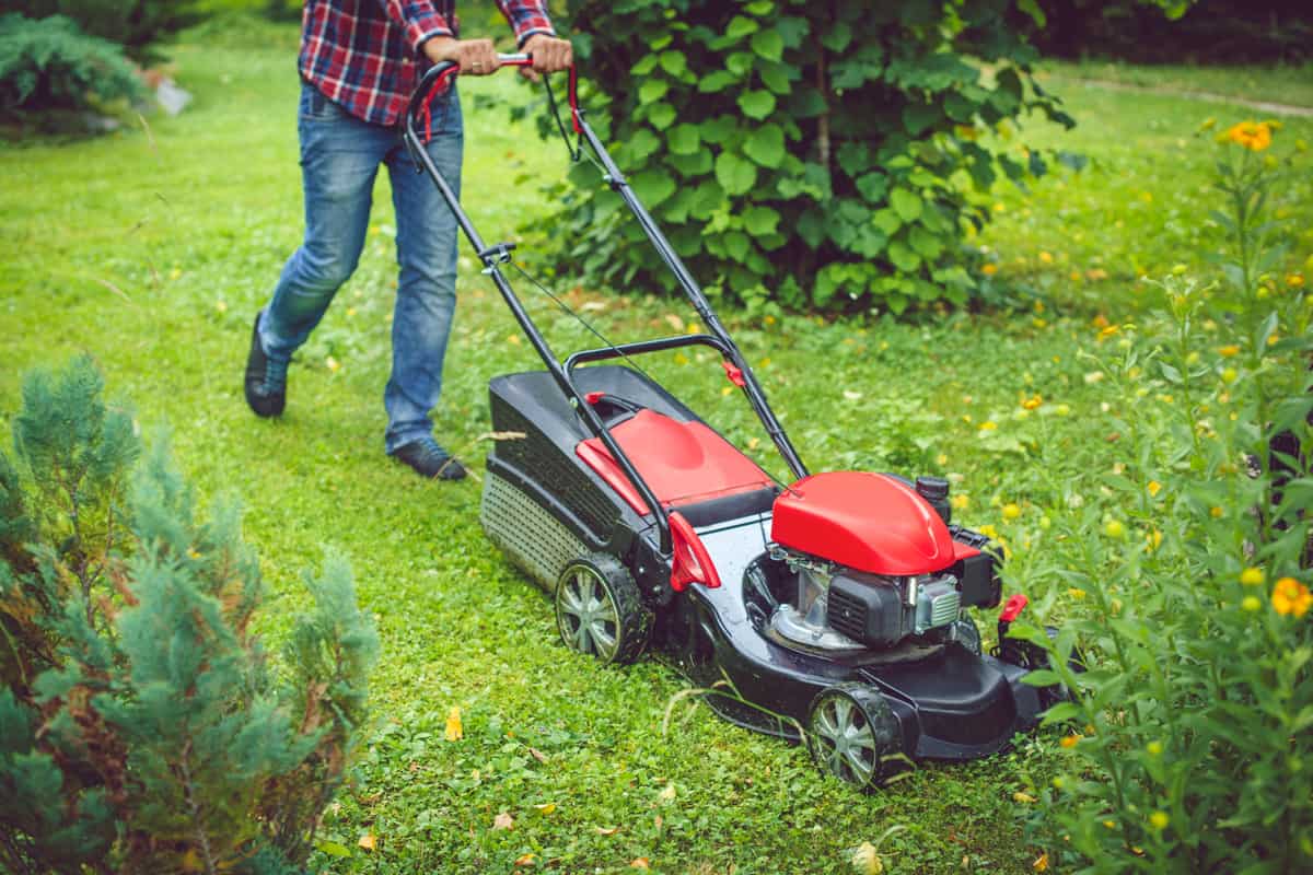Gardener using a high powered Toro lawn mower in his lawn