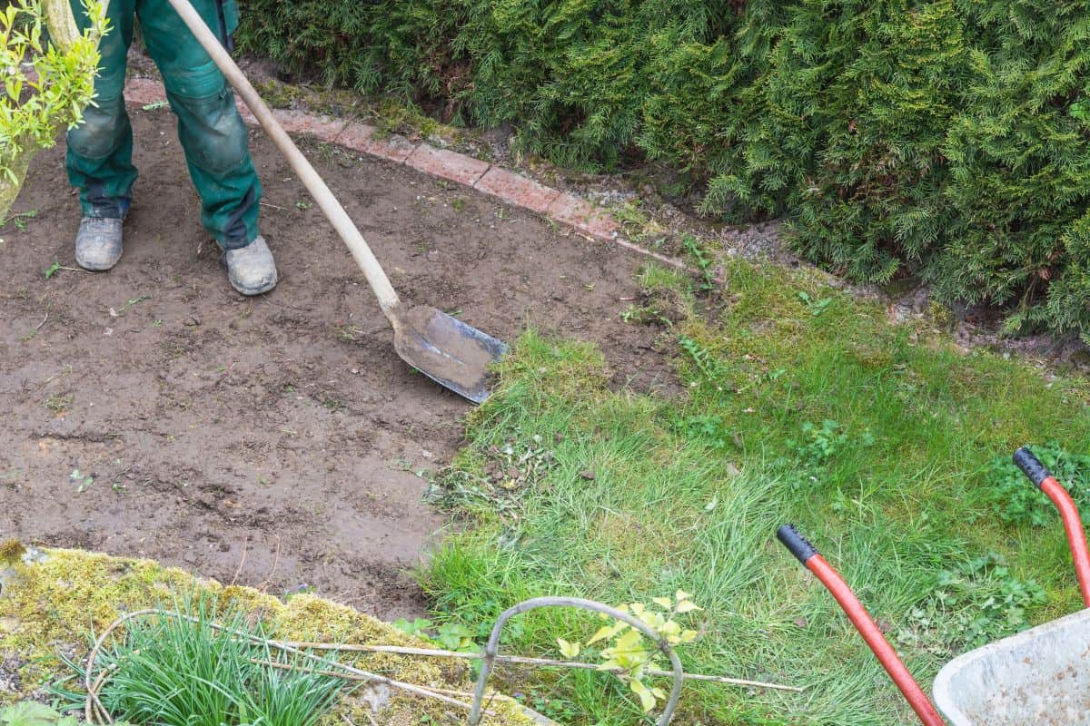 Gardening, remove of the old grass sward