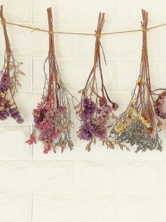 Hanging dried flowers, How Long Does It Take To Press Flowers?