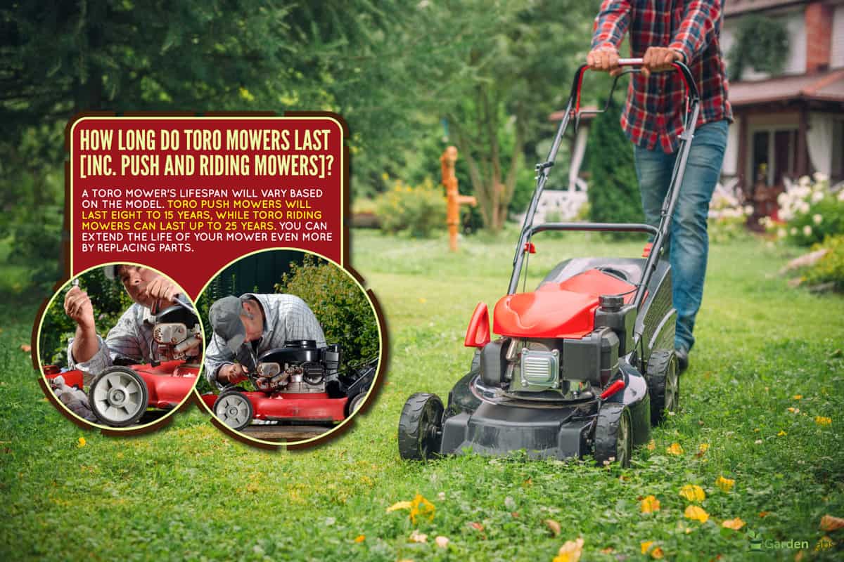 Man using a lawn mower in his back yard, How Long Do Toro Mowers Last [Inc. Push And Riding Mowers]?