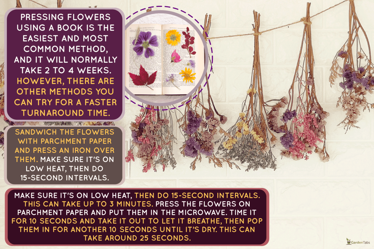 Hanging dried flowers, How Long Does It Take To Press Flowers?