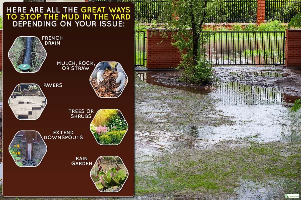 A muddy backyard with puddles after spring rain, How To Fix A Muddy Yard [Inc. With Dogs, In Winter, & More]