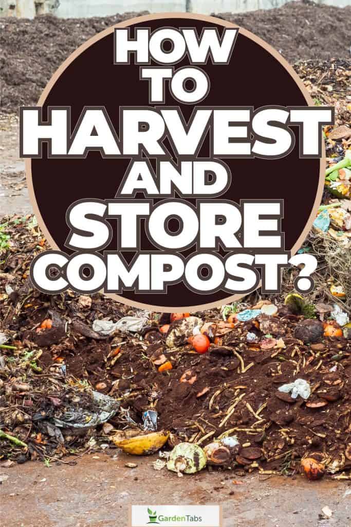 A huge stockpile of compost, How To Harvest And Store Compost?
