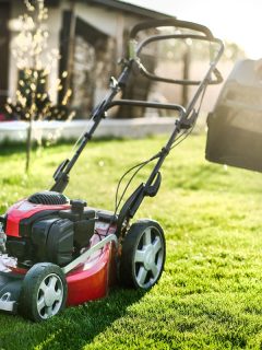 Lawn mover on green grass in modern garden. Machine for cutting lawns, Can't Start Toro Recycler 22 - Why And What To Do?