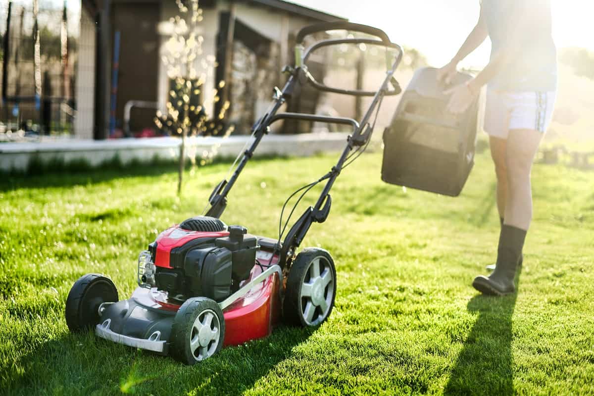 Lawn mover on green grass in modern garden. Machine for cutting lawns