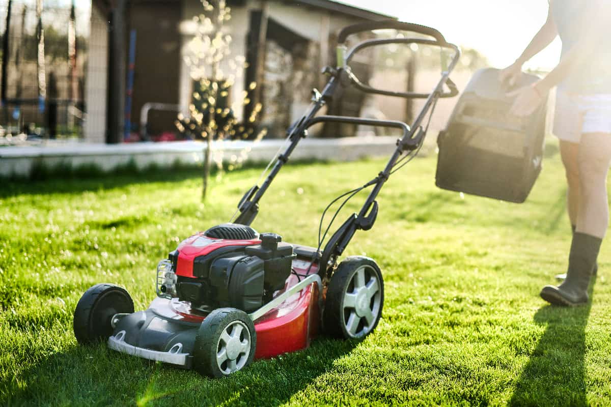 Lawn mover on green grass in modern garden. Machine for cutting lawns