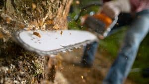 Lumberjack using chainsaw while cutting tree in forest, Should You Run A Chainsaw At Full Throttle?