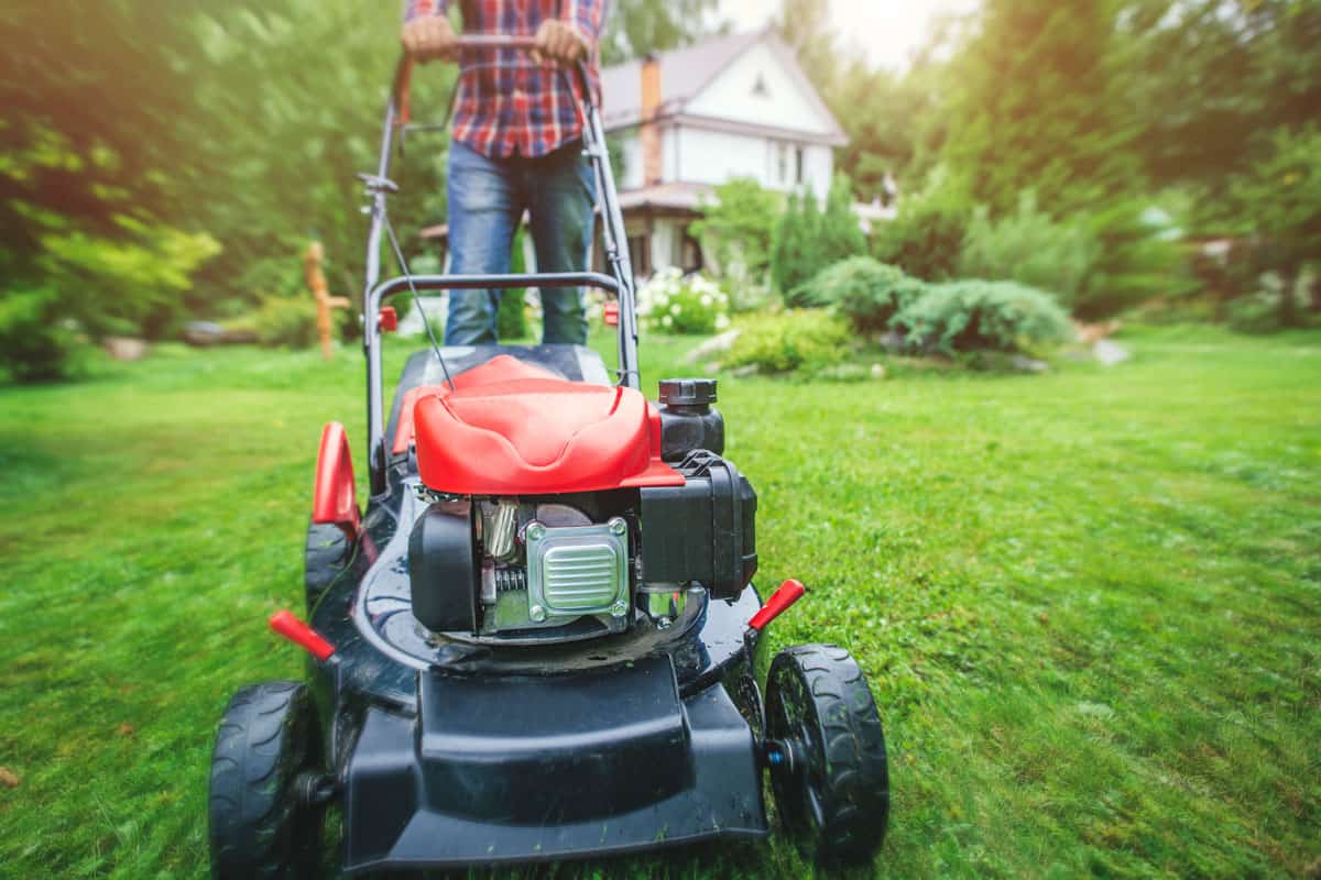 Man using a lawn mower in his back yard green grass