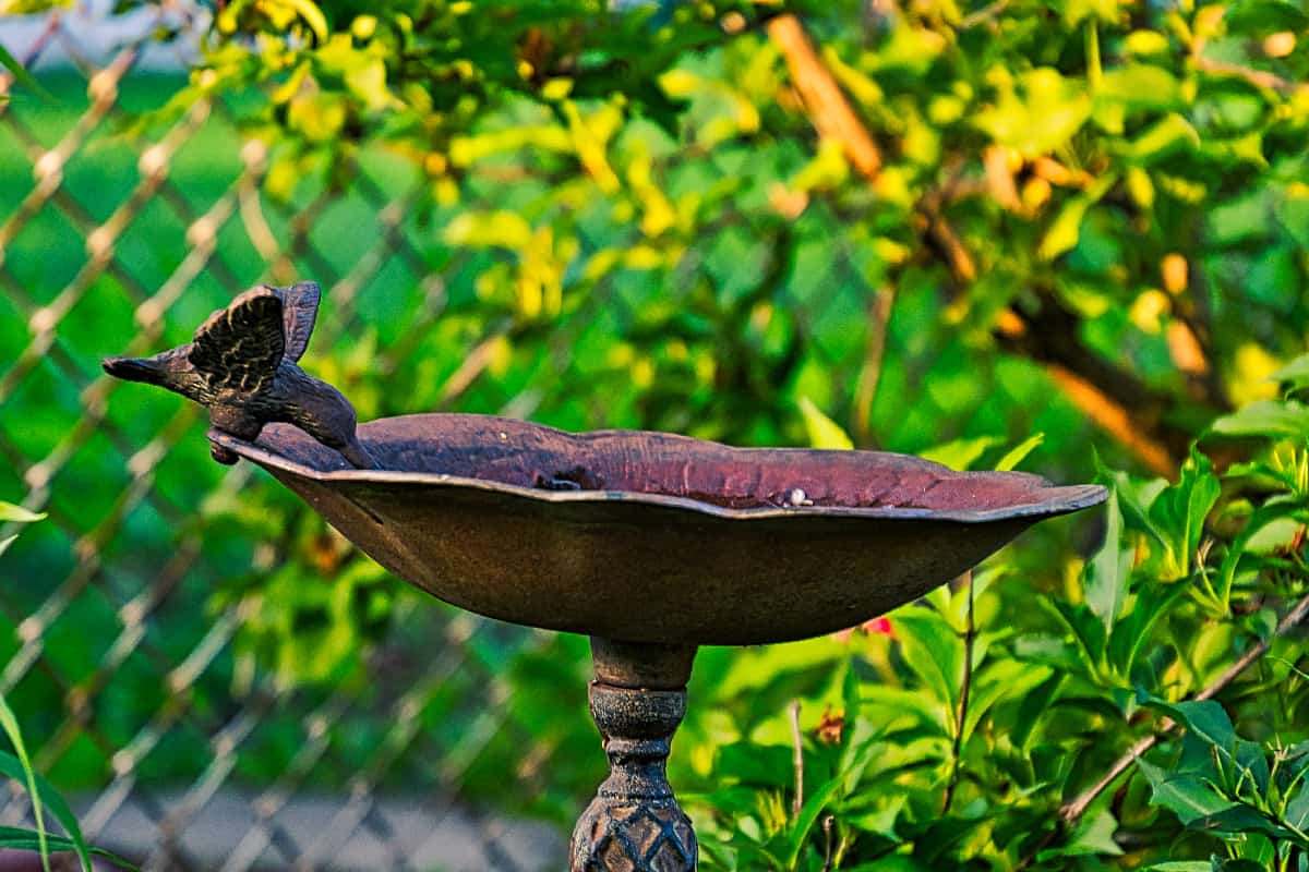 Metal bird bath with beautifully sculptured hummingbird decor on edge