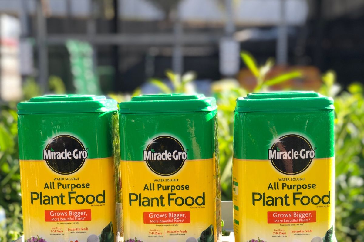 Miracle gro plant food is on display in the garden section of a retail store