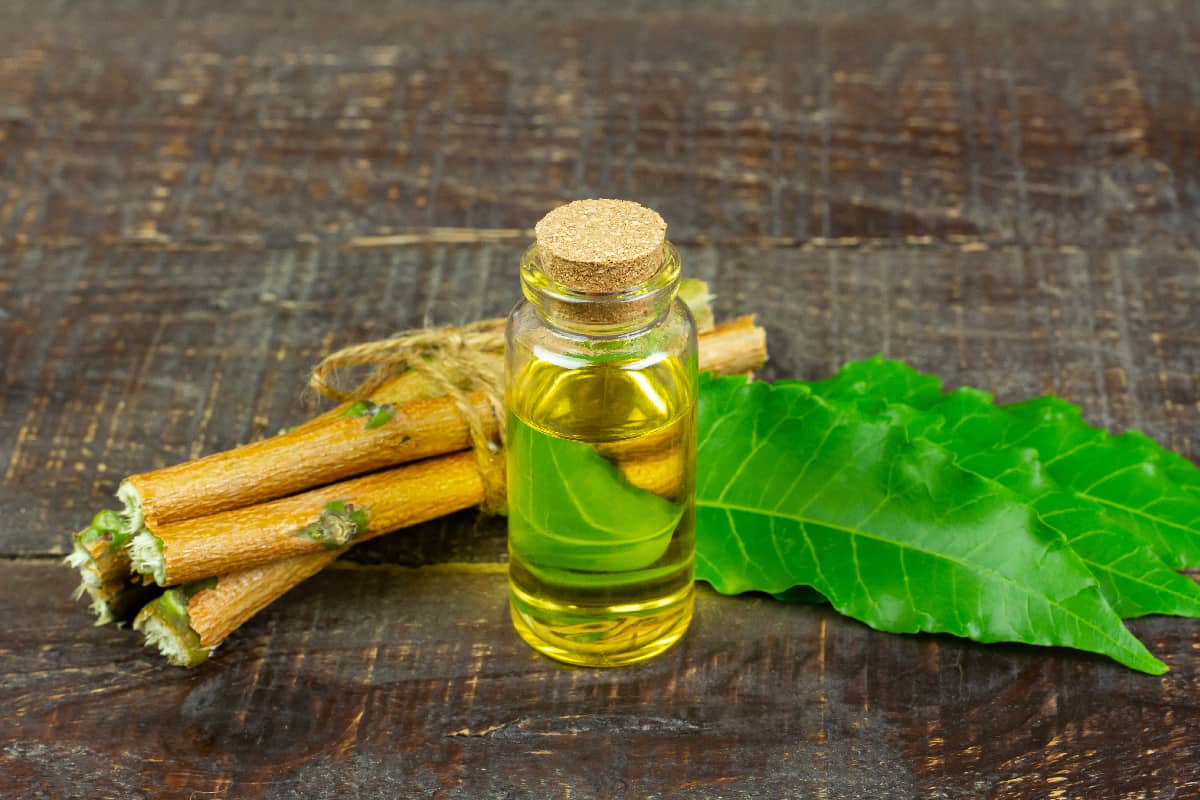 Neem oil in bottle and neem leaf with twig on wooden