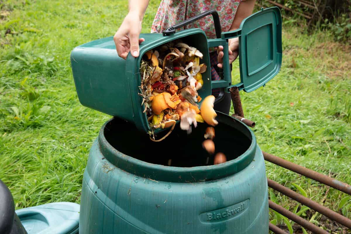 Pouring vegetable and fruit disposal into a container for compost