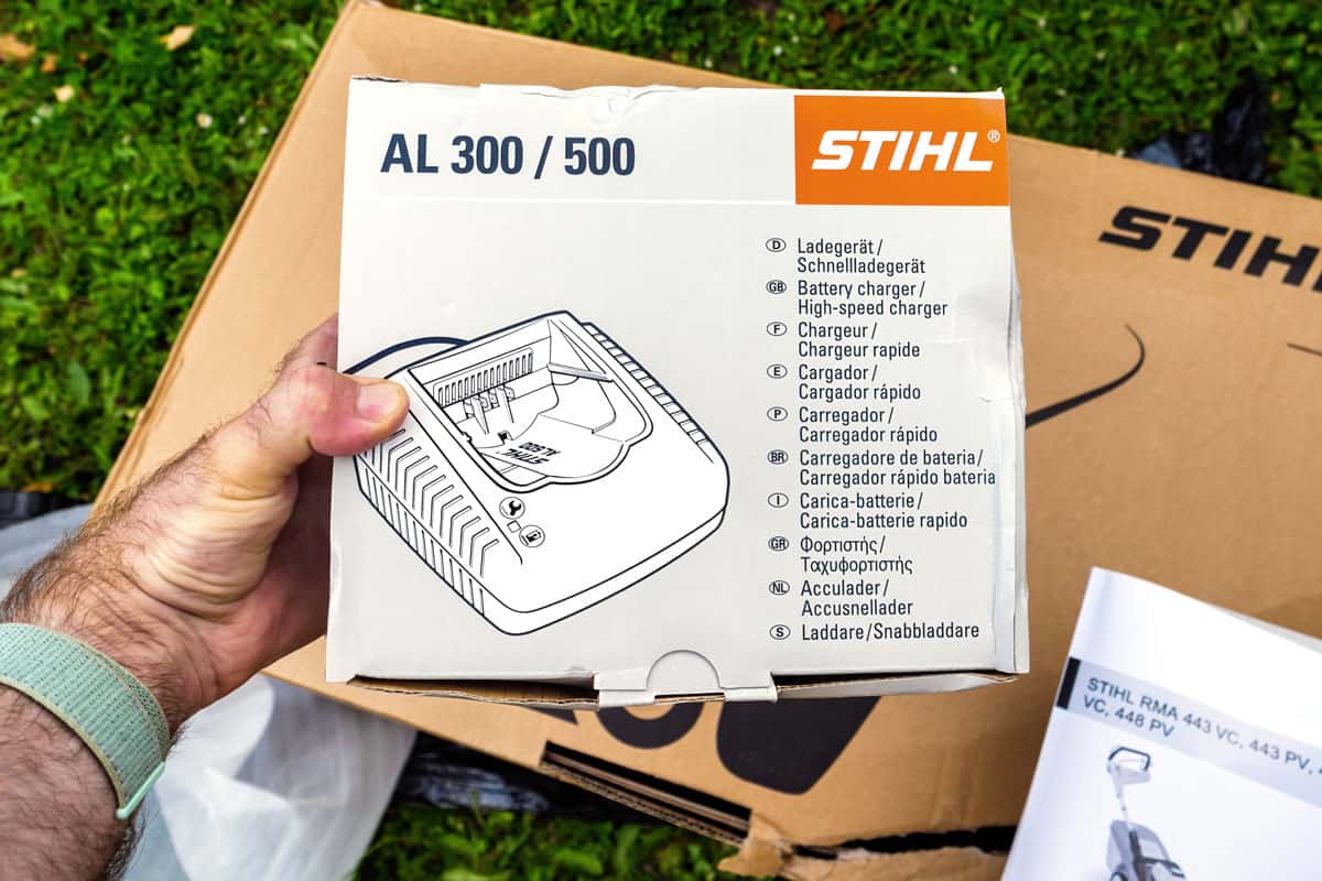 Pov male hand holding carton package with Stihl AL 300 500 Battery charger for the garden accesories
