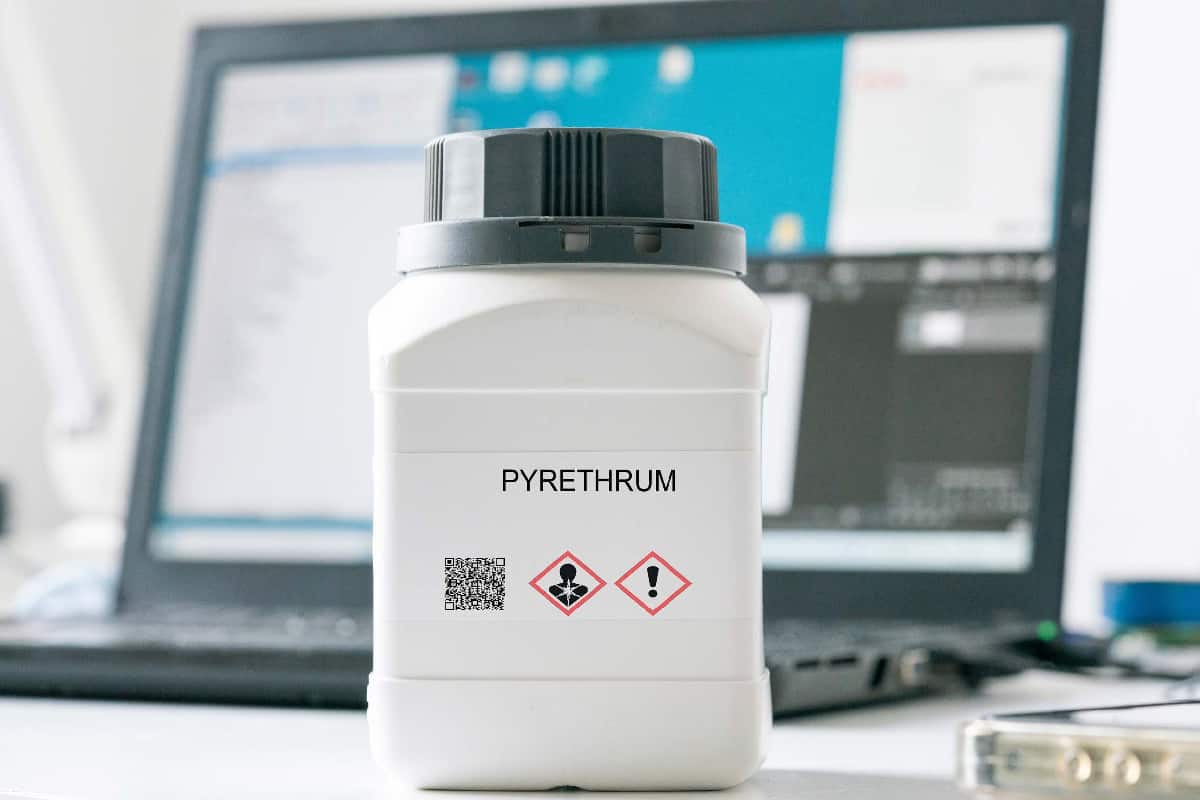 Pyrethrum hazardous chemical in laboratory packaging