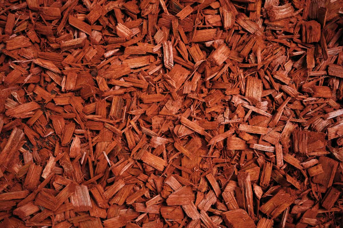 Red mulch used for garden decoration