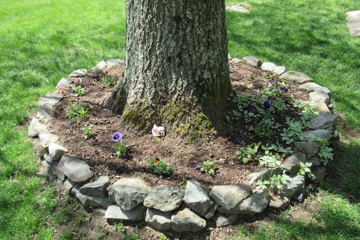 Round garden planter with stone wall around a tree