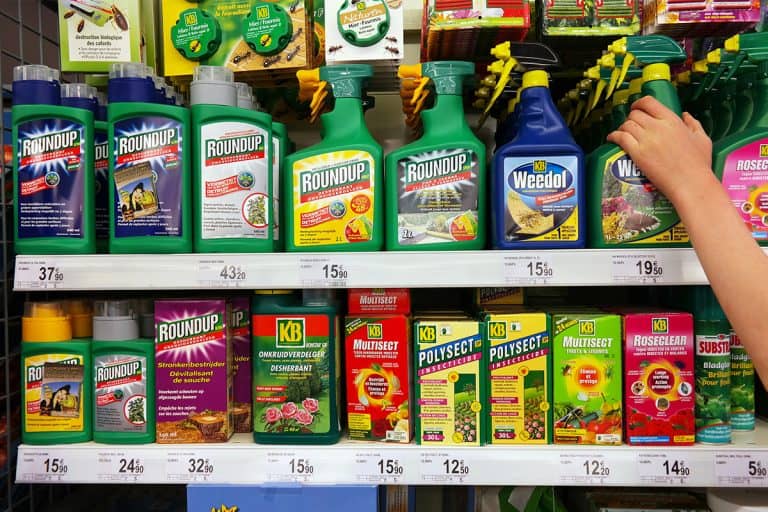 Shelves with a variety of pesticides in a supermarket, Do Insecticides Expire Or Have A Shelf Life?