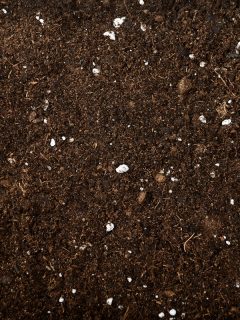 Soil background with stone mixed with it, How To Remove Rocks From Your Yard Soil
