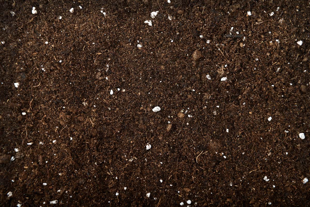 Soil background with stone mixed with it