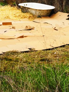 Straw and cardboard sheet mulching in the lawn, Sheet Mulching To Kill Grass - How To?