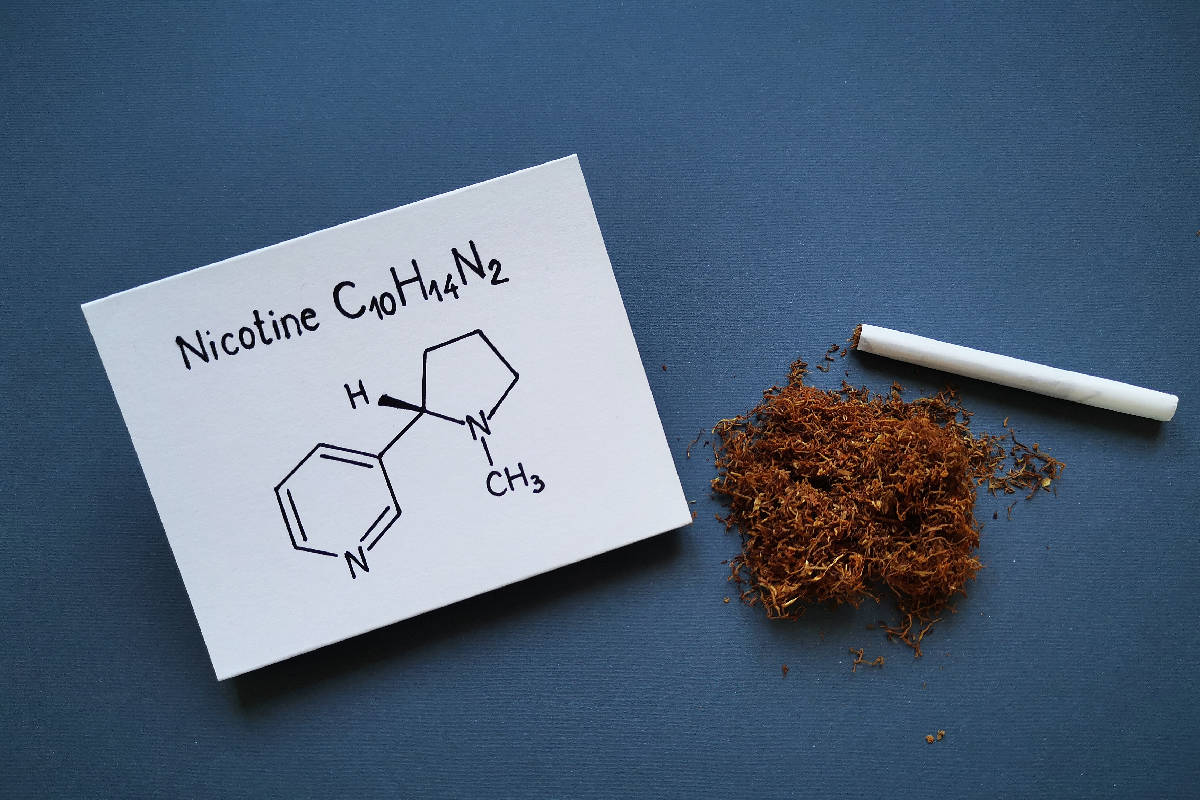 Structural chemical formula of nicotine molecule with tobacco dry heap and handmade cigarette