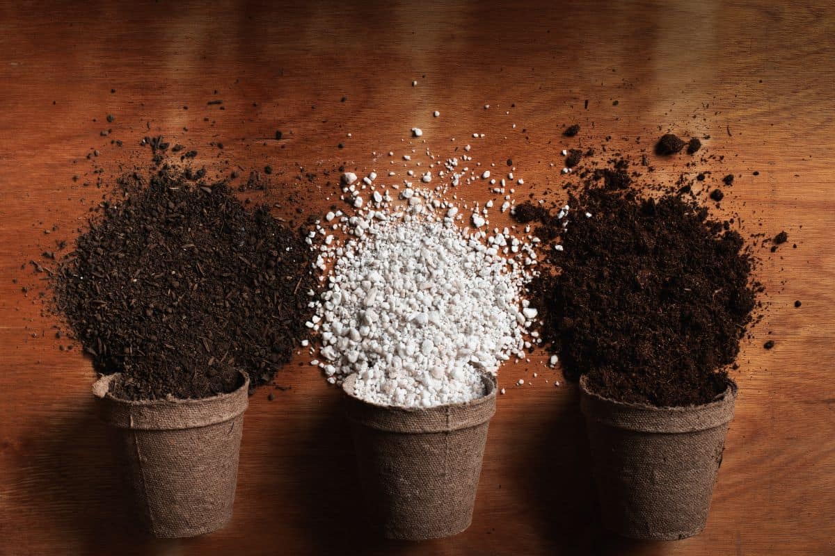 Substrate materials for potting soil for plants coming out of peat pots. Worm humus in the left, perlite in the middle and peat moss in the right, on a wooden background.