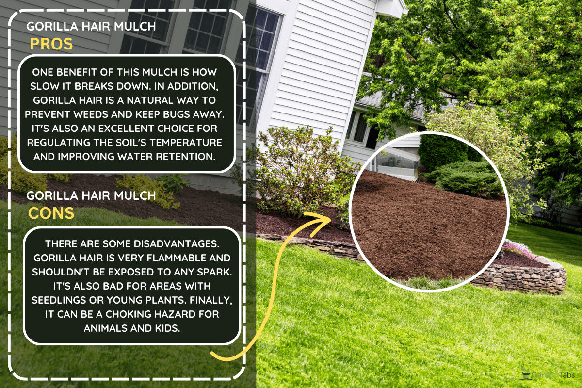 This garden terrace behind a slate rock wall has just been completely weeded and cleaned up with fresh mulch spread evenly on the ground surrounding ornamental bushes and flowers. - Gorilla Hair Mulch: The Ultimate Guide [Inc. Pros, Cons, Applications, & 
