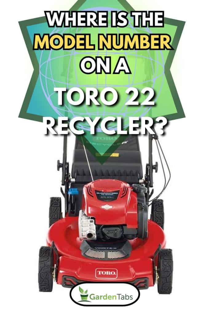 Toro Recycler 22