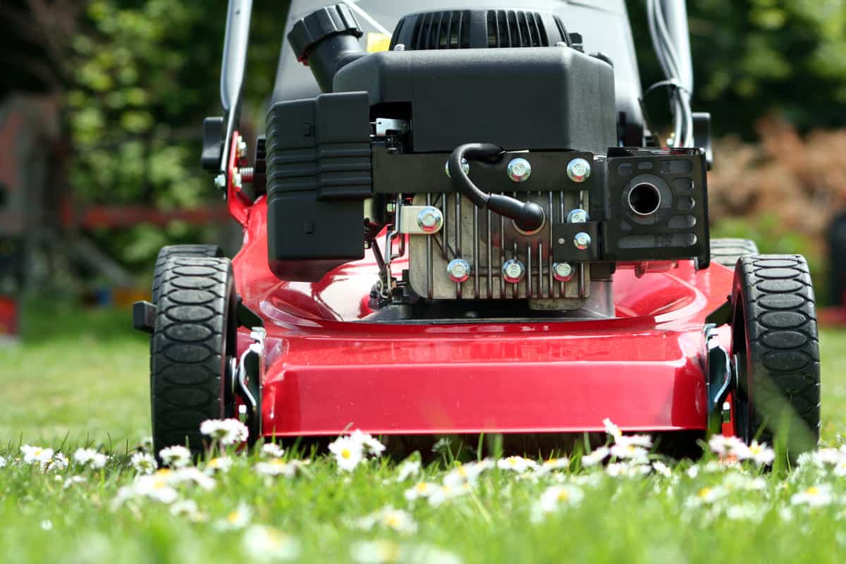 Using a red toro lawn mower