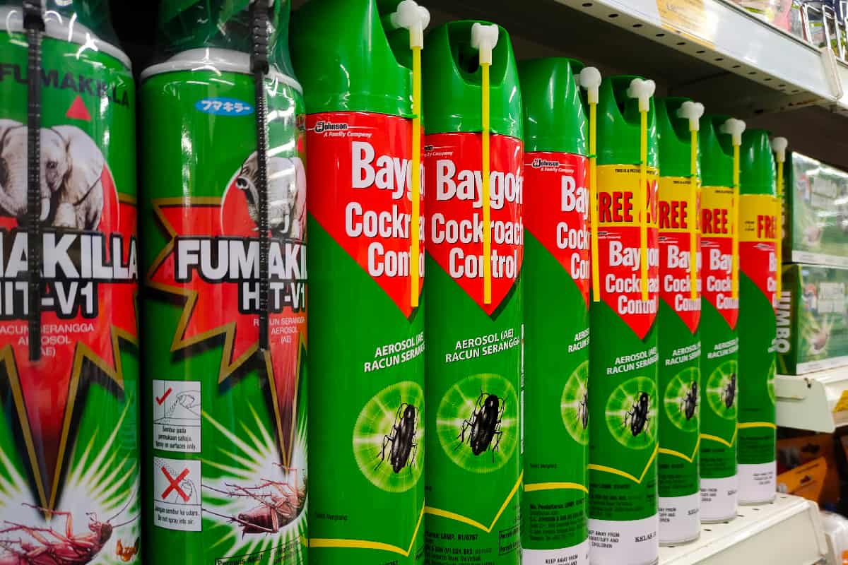 Various brands of aerosol-type insecticides in commercial cans