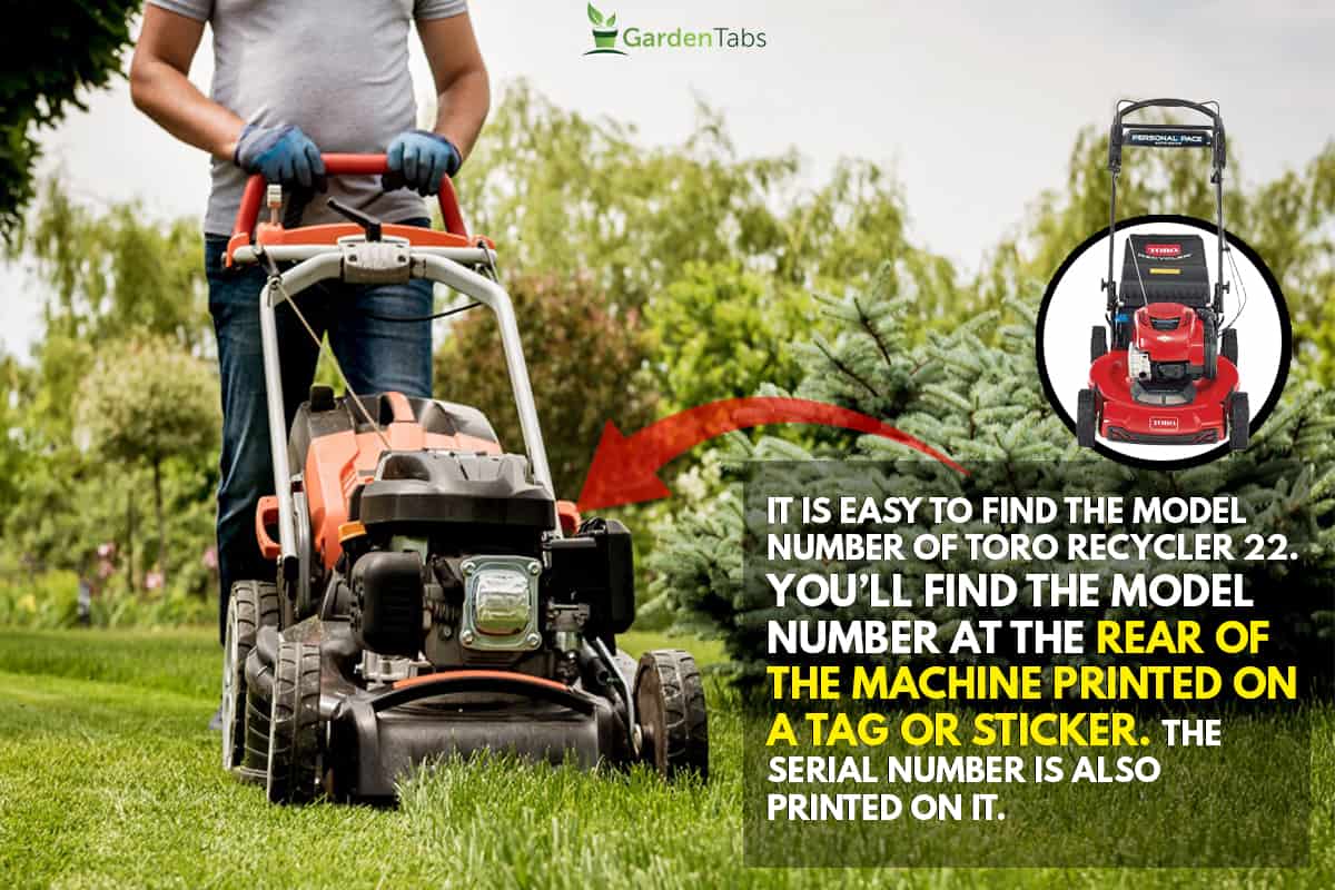 Gardener mowing the lawn. Landscape design. Green grass background, Where Is The Model Number On A Toro 22 Recycler?