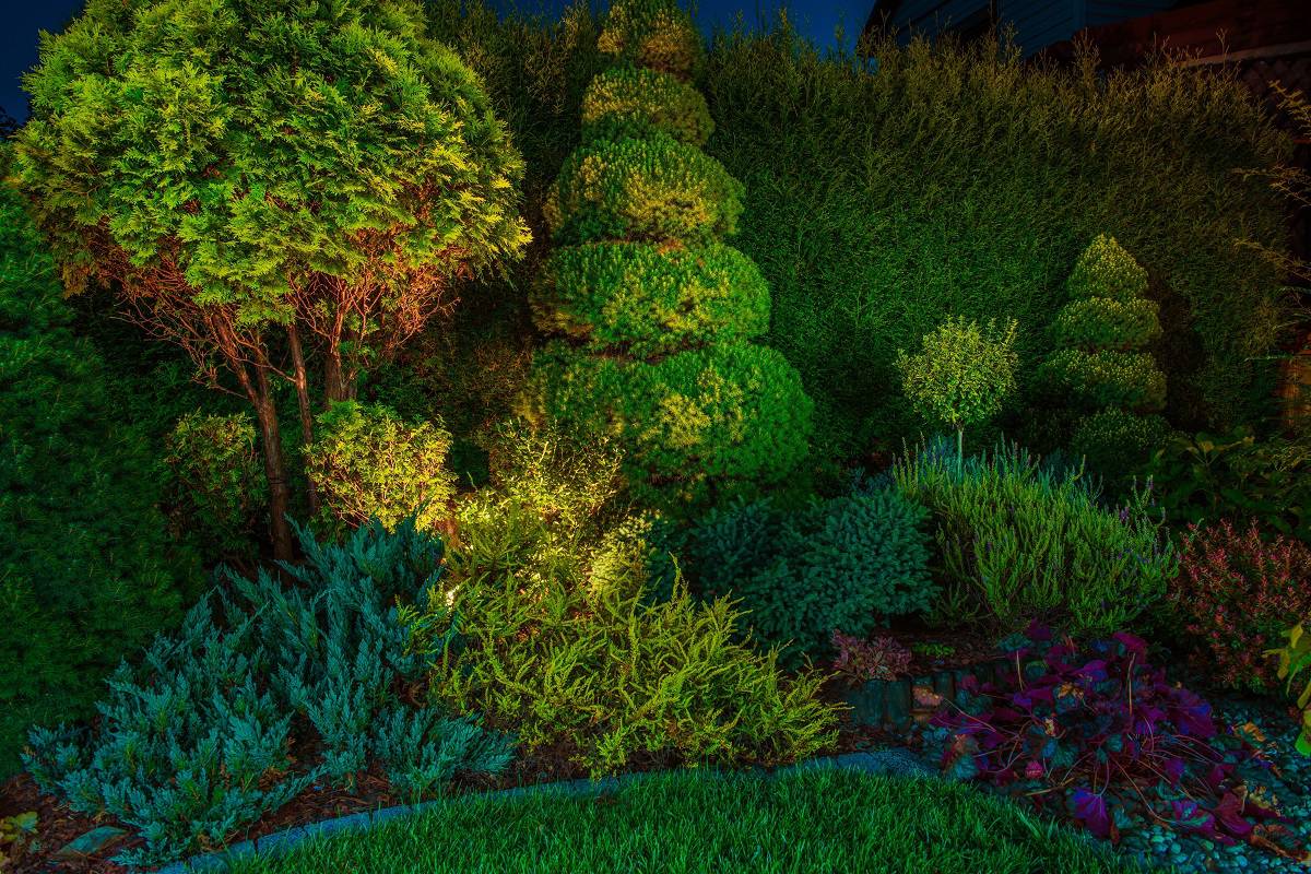 Why Spray Insecticide Late At Night or Early In The Morning - Backyard Garden Led Lighting Illumination. Beautiful Garden Illuminated by Small Spot Light Led Reflectors.