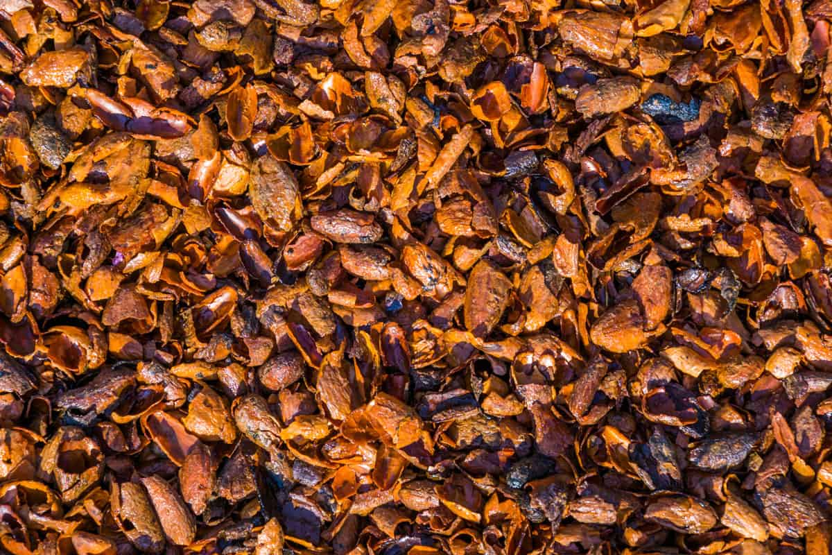 pattern of cacao shells in closeup, popular aromatic garden ground covering and mulch
