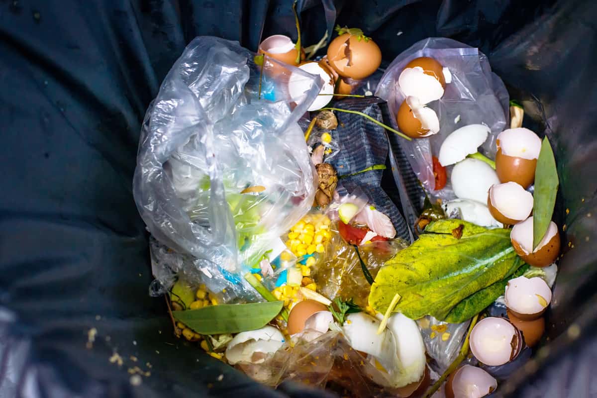 waste food In Garbage,not waste separation