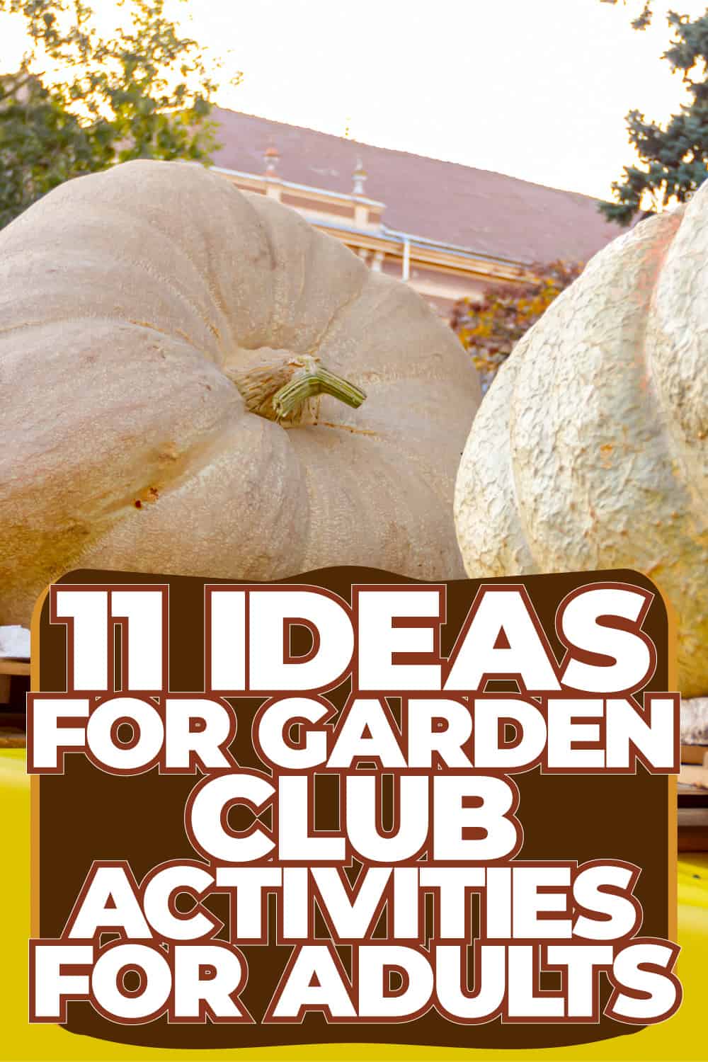 11 Ideas For Garden Club Activities For Adults - 1600X900